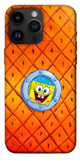 Чехол на Apple iPhone 14 Pro Max (6.7") Дом Спанч Боба фото 1 из 1