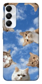 Чохол на Samsung Galaxy A05s Сats фото 1 з 1