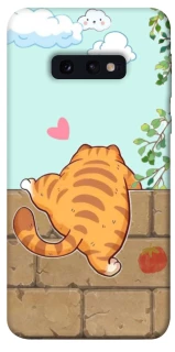Чохол на Samsung Galaxy S10e Cat the meow фото 1 з 1