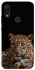 Чохол на Xiaomi Redmi 7 Leopard v4 фото 1 з 1