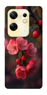 Чохол на Infinix Zero 30 4G Flowers v28 фото 1 з 1