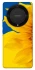Чохол на Huawei Magic5 Lite Sunflower фото 1 з 1