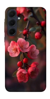 Чехол на Samsung Galaxy A55 Flowers v28 фото 1 из 1