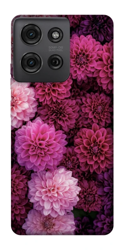 Чохол на Motorola Moto G75 Garden1 фото 1 з 1
