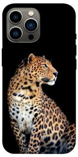 Чехол на Apple iPhone 12 Pro Max (6.7") Leopard v2 фото 1 из 1