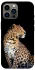 Чехол на Apple iPhone 12 Pro Max (6.7") Leopard v2 фото 1 из 1