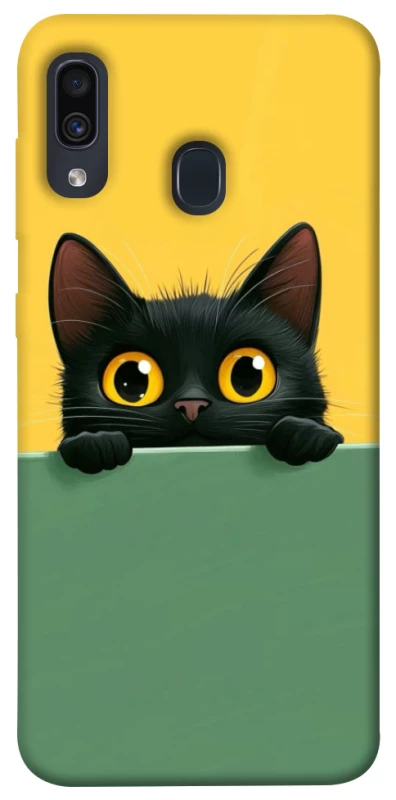 Чохол на Samsung Galaxy A20 / A30 Black cat v2 фото 1 з 1