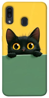 Чохол на Samsung Galaxy A20 / A30 Black cat v2 фото 1 з 1