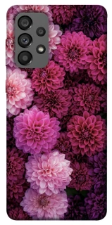 Чохол на Samsung Galaxy A73 5G Garden1 фото 1 з 1