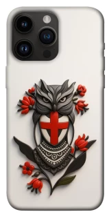 Чохол на Apple iPhone 14 Pro Max (6.7") Мотанка надії 3D фото 1 з 1