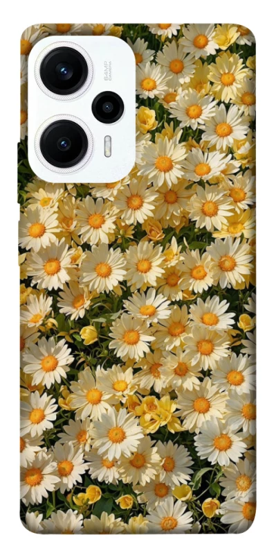 Чохол на Xiaomi Poco F5 / Note 12 Turbo Camomile фото 1 з 1