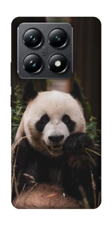 Чехол на Xiaomi 14T Pro Панда фото 1 из 1