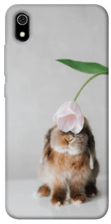 Чохол на Xiaomi Redmi 7A Bunny фото 1 з 1