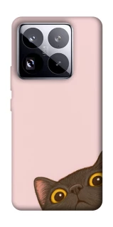 Чехол на Xiaomi 15 Pro Peeping cat фото 1 Чехол на Xiaomi 15 Pro Peeping cat фото 1 из 1