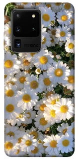 Чохол на Samsung Galaxy S20 Ultra Поле ромашок фото 1 з 1