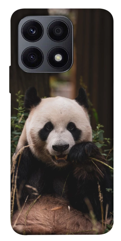 Чохол на Huawei Honor X8a Панда фото 1 з 1