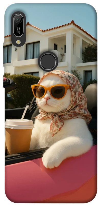 Чохол на Huawei Y6 (2019) Stylish Cat Cruise фото 1 з 1