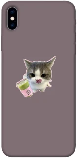 Чохол на Apple iPhone XS Max (6.5") cat matcha фото 1 з 1