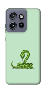 Чохол на Motorola Edge 50 Neo Змійка фото 1 з 1