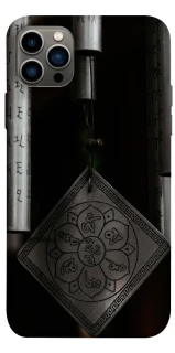 Чехол на Apple iPhone 12 Pro (6.1") Талисман удачи фото 1 из 1