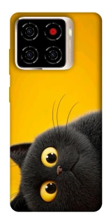 Чохол на ZTE Blade A56 This is Cat фото 1 з 1