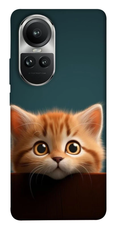 Чохол на Oppo Reno 10 Чохол Кошеня фото 1 з 1