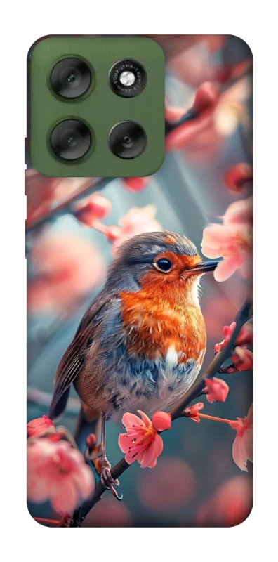 Чехол на Motorola Moto G56 5G Birdie фото 1 из 1