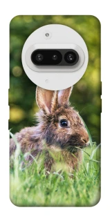 Чохол на Nothing Phone (3a) Кролики фото 1 з 1