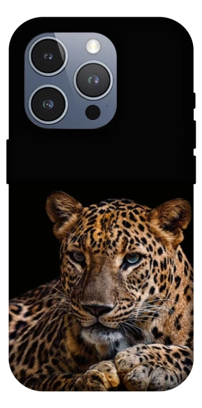 Чехол на Apple iPhone 16 Pro Max Leopard v4 фото 1 из 1