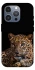 Чехол на Apple iPhone 16 Pro Max Leopard v4 фото 1 из 1