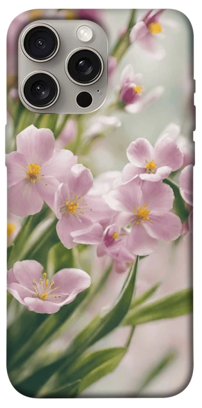 Чохол Spring фото 1 з 1