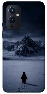 Чехол на OnePlus 9 But why? фото 1 из 1