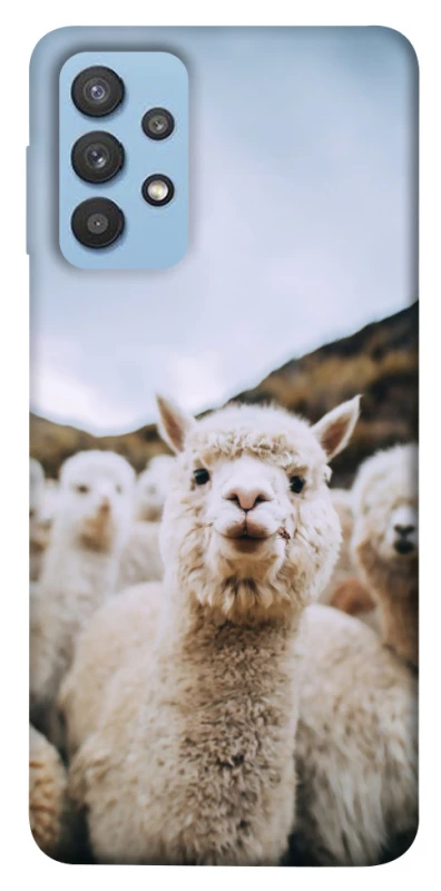 Чохол на Samsung Galaxy M32 Лама фото 1 з 1
