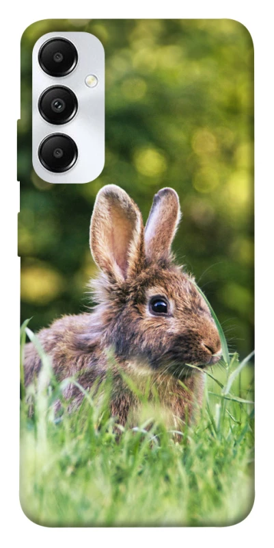 Чохол на Samsung Galaxy A05s Кролики фото 1 з 1