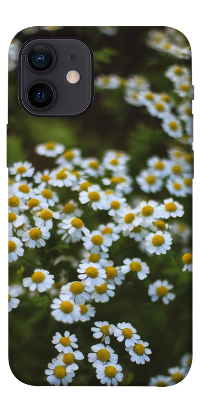 Чехол на Apple iPhone 12 mini (5.4") Ромашки v13 фото 1 из 1