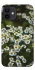 Чехол на Apple iPhone 12 mini (5.4") Ромашки v13 фото 1 из 1