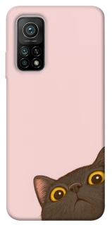 Чохол на Xiaomi Mi 10T Peeping cat фото 1 з 1