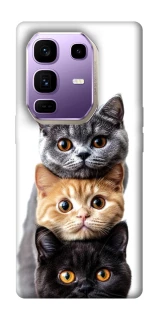 Чохол на Infinix Note 50 Pro+ Гарні котики фото 1 з 1