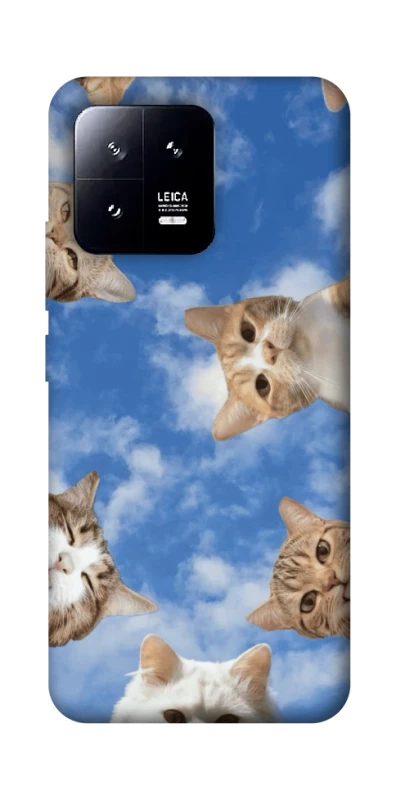 Чохол на Xiaomi 13 Сats фото 1 з 1