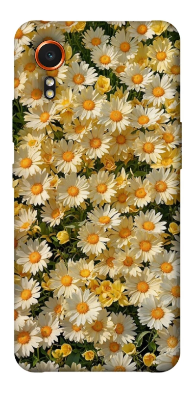 Чохол на Samsung Galaxy Xcover7 Camomile фото 1 з 1