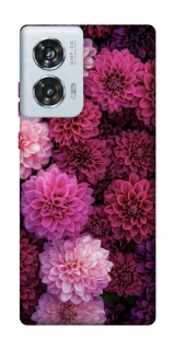 Чохол на Motorola Edge 50 Fusion Garden1 фото 1 з 1