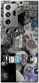 Чехол на Samsung Galaxy Note 20 Ultra Pebble фото 1 из 1