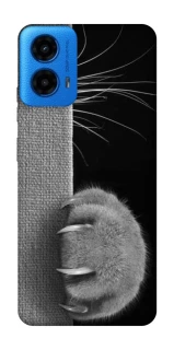 Чохол на Motorola Moto G45 Spy Cat фото 1 з 1