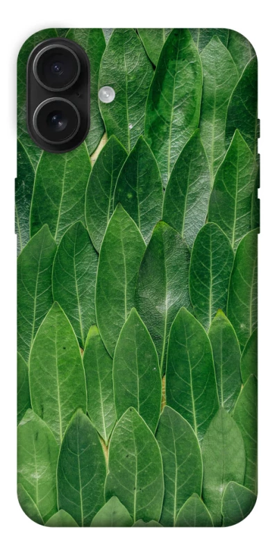 Чехол на Apple iPhone 16 Plus Листья фото 1 из 1