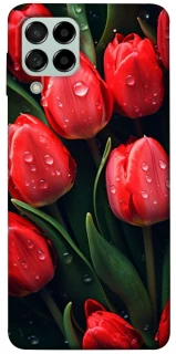 Чохол на Samsung Galaxy M53 5G Червоні тюльпани фото 1 з 1