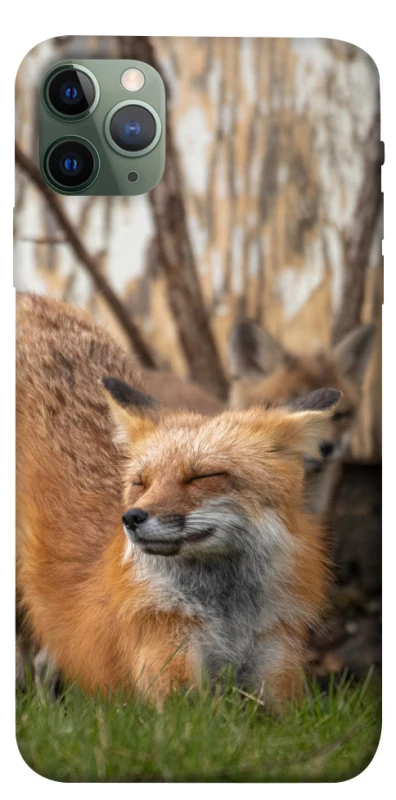 Чехол на Apple iPhone 11 Pro Max (6.5") Лиса фото 1 из 1