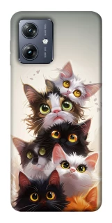 Чохол на Motorola Moto G54 Сat eyes фото 1 Чохол на Motorola Moto G54 Сat eyes фото 1 з 1