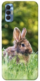 Чехол на TECNO Spark 8P Кролики фото 1 из 1