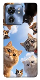 Чехол на Motorola Edge 40 Cats фото 1 из 1