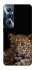 Чохол на Realme C65 4G Leopard v4 фото 1 з 1